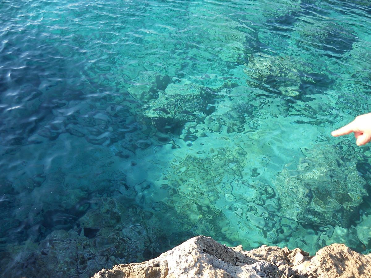 B&B La Strea Porto Cesareo Exteriér fotografie